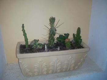 Apartament Sofos